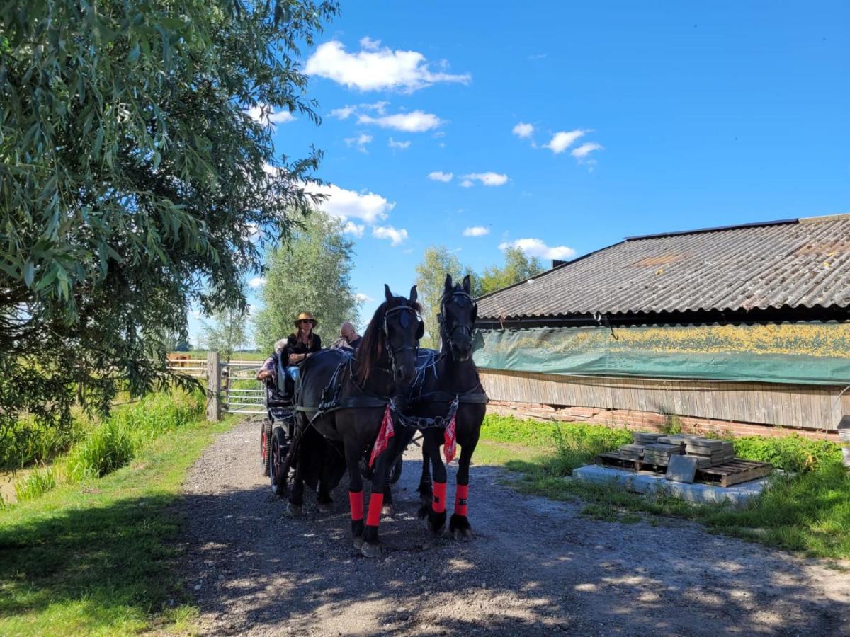 De Huifkar, Trekkershut Bij Sneek Hotel Hommerts Luaran gambar