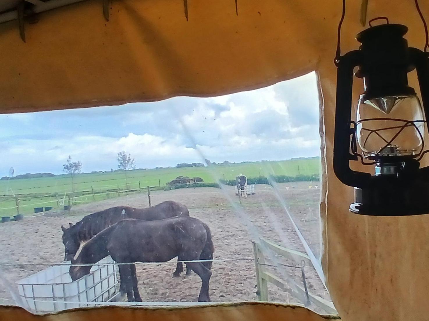 De Huifkar, Trekkershut Bij Sneek Hotel Hommerts Luaran gambar