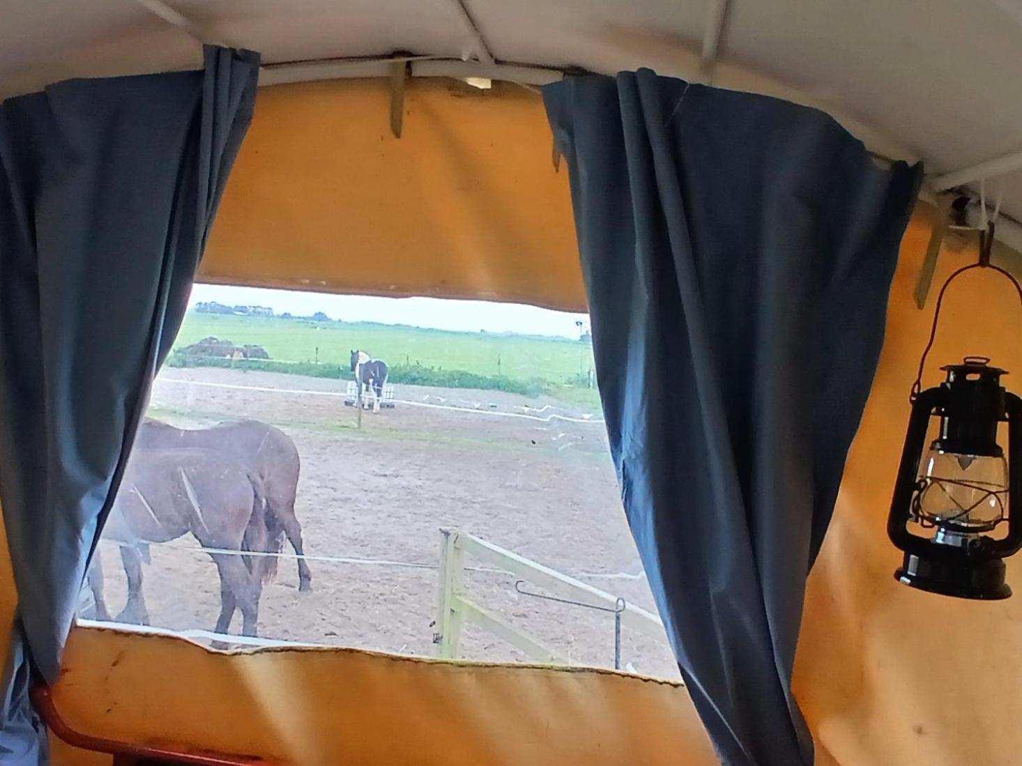 De Huifkar, Trekkershut Bij Sneek Hotel Hommerts Luaran gambar